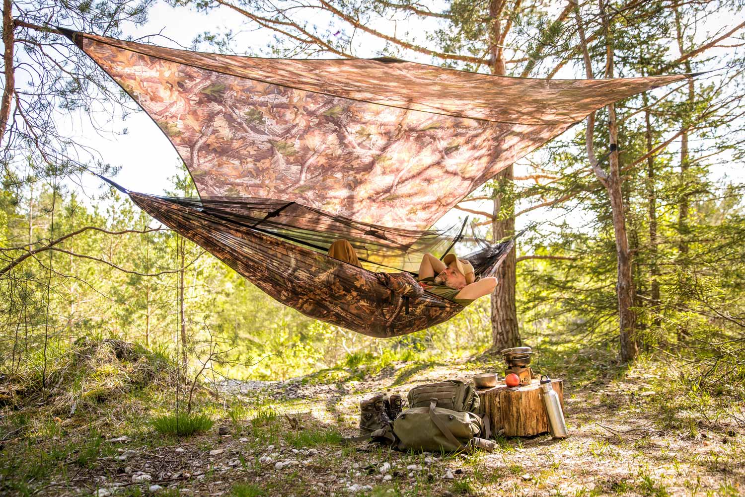 Moskito-Traveller forest