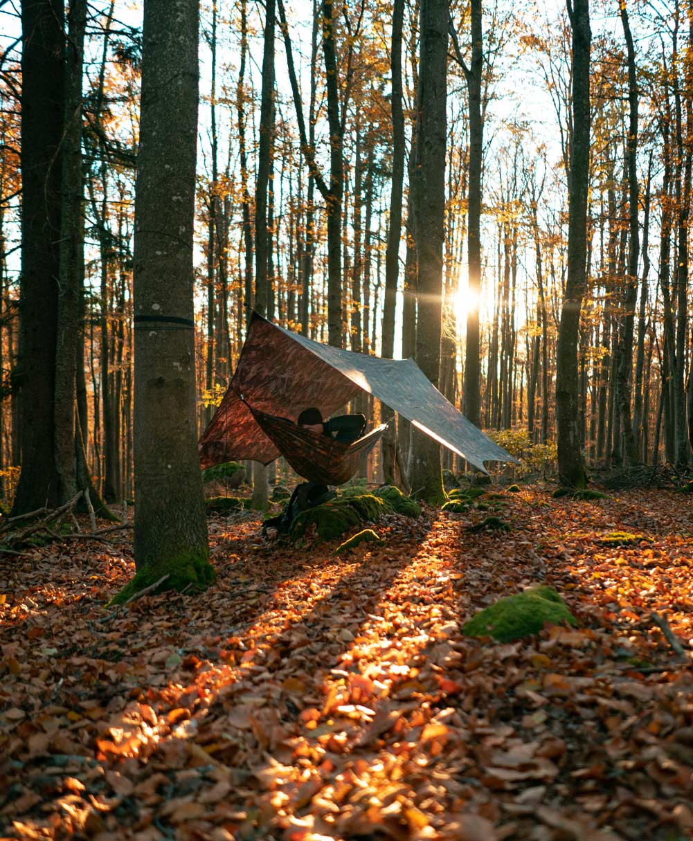Traveller Set Forest
