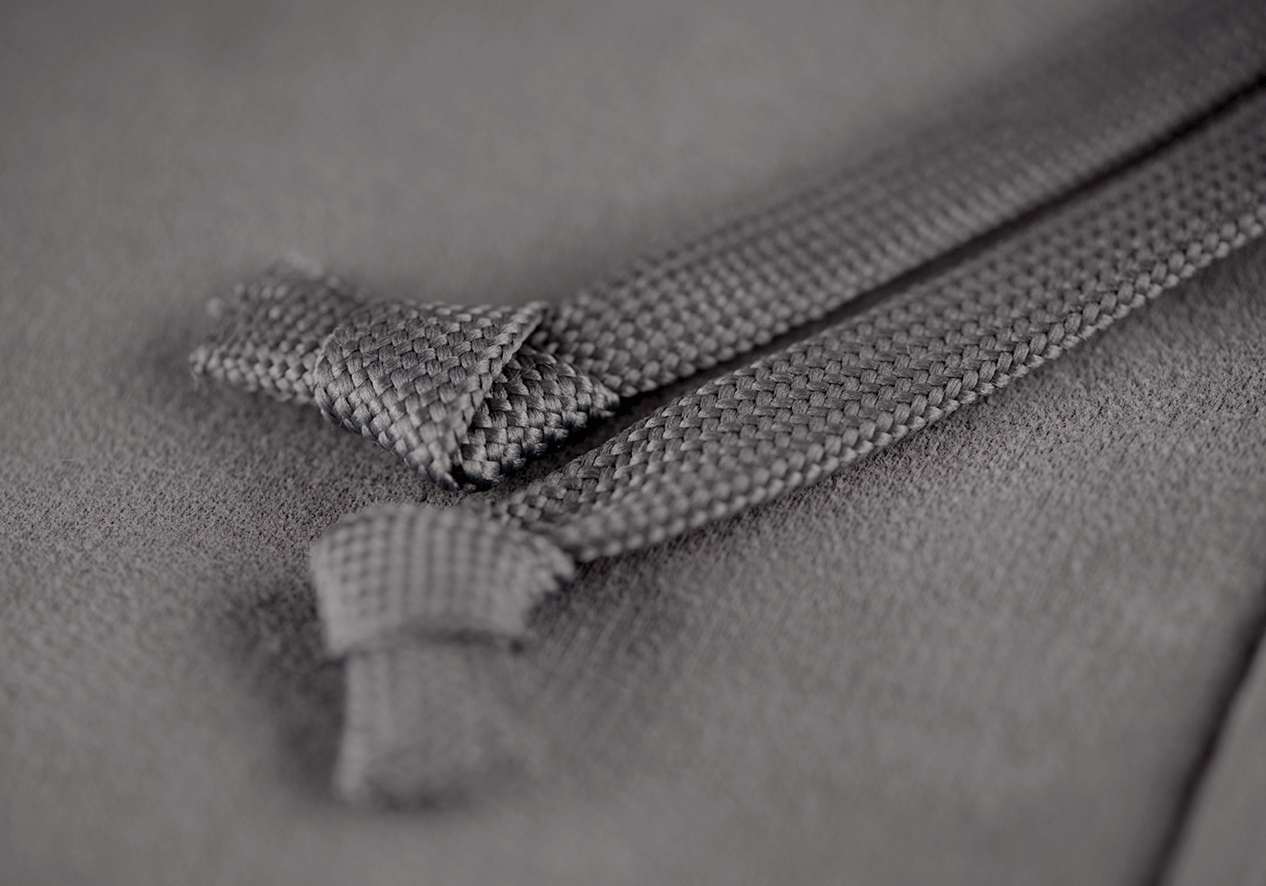 CG Logo Zip Hoodie wolf grey