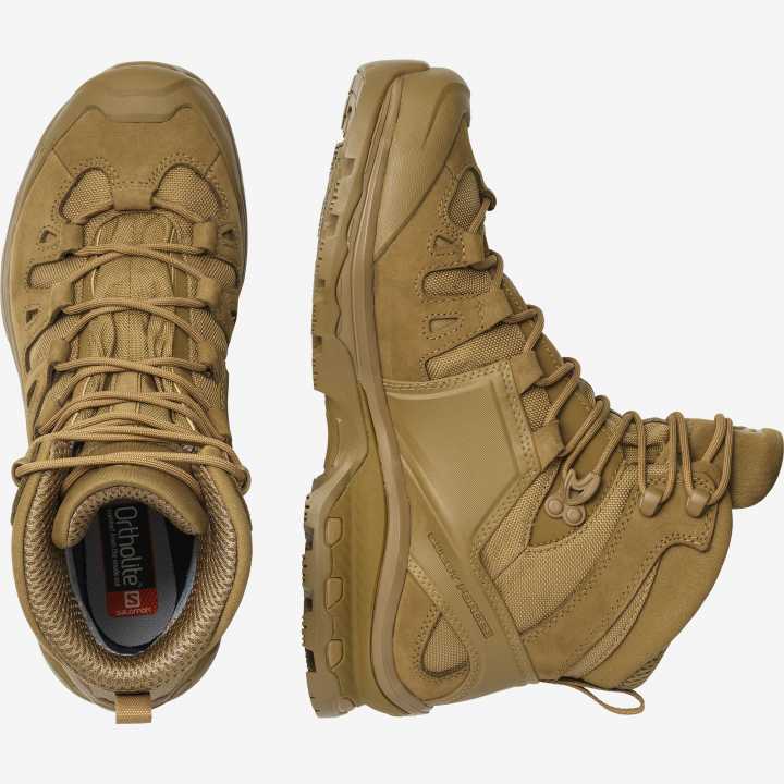 Quest 4D GTX Forces 2. Gen coyote